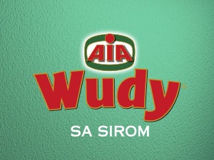 TV CAMPAIGN FOR AIA WUDY HAS STARTED
